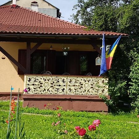 La Mihai Lupény Kültér fotó