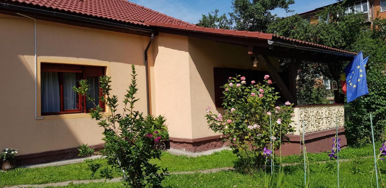 La Mihai Lupény Kültér fotó