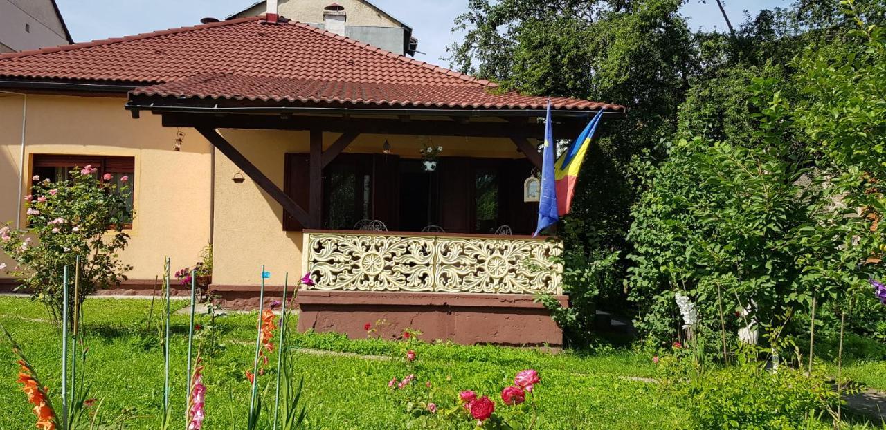 La Mihai Lupény Kültér fotó