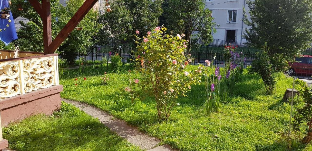 La Mihai Lupény Kültér fotó
